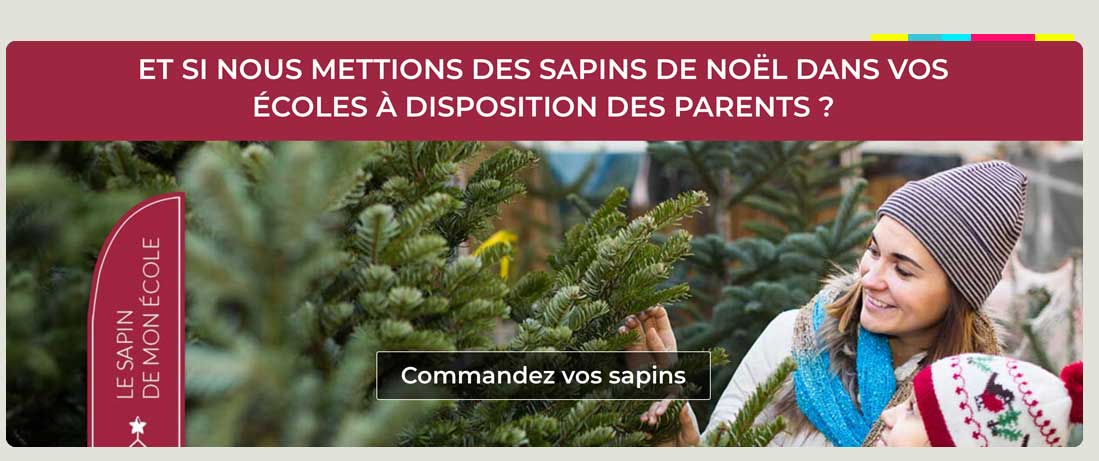 le sapin de mon ecole